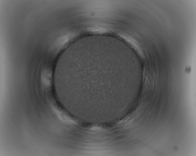 X0000092290596200709141301