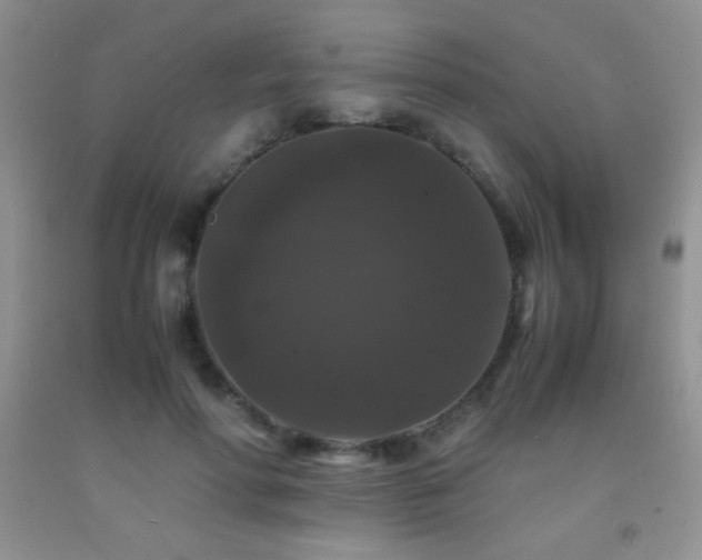 X0000092290598200709141301