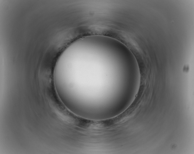 X0000092290599200709141301