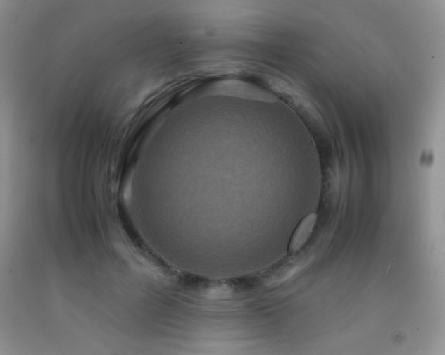 X0000092290600200709141301