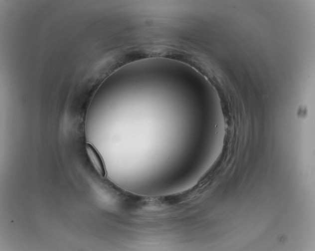 X0000092290601200709141301