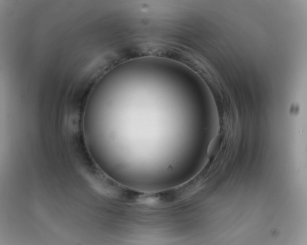 X0000092290602200709141301