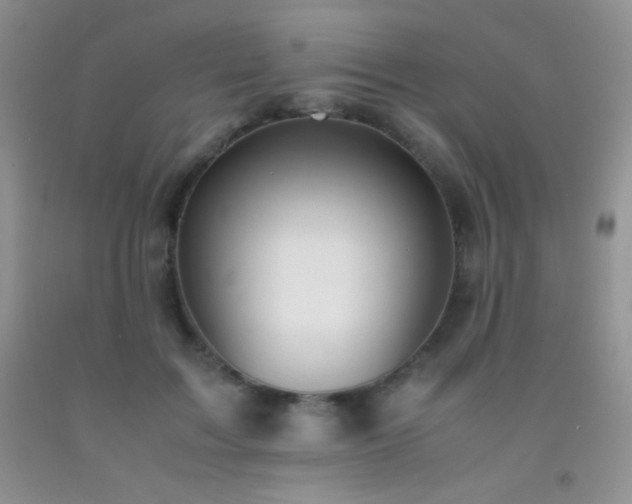 X0000092290603200709141301