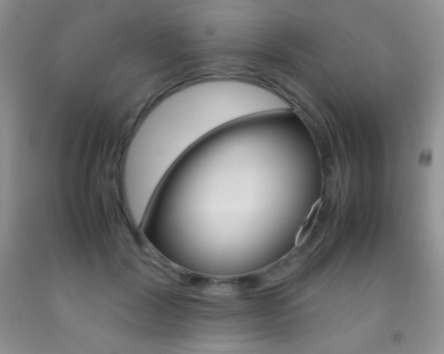 X0000092290604200709141301