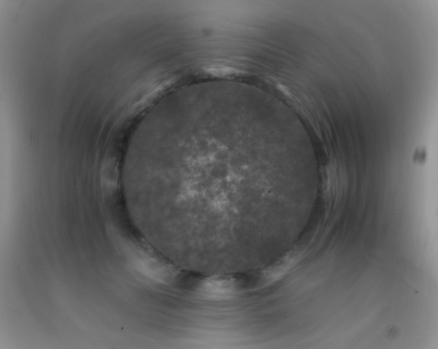 X0000092290606200709141301