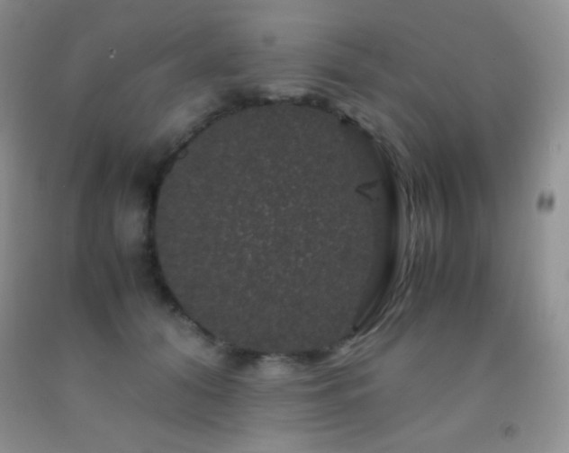 X0000092290608200709141301