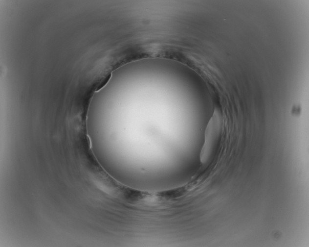 X0000092290611200709141301