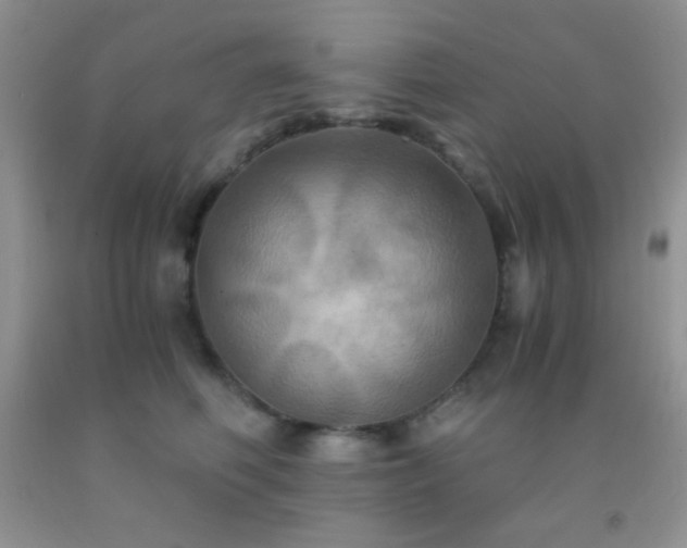 X0000092290614200709141301