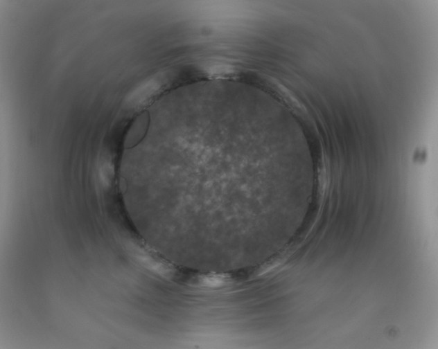 X0000092290618200709141301