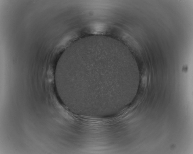 X0000092290620200709141301