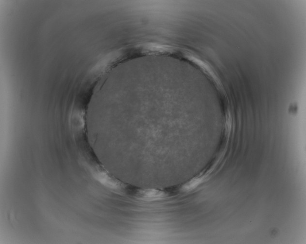 X0000092290621200709141301