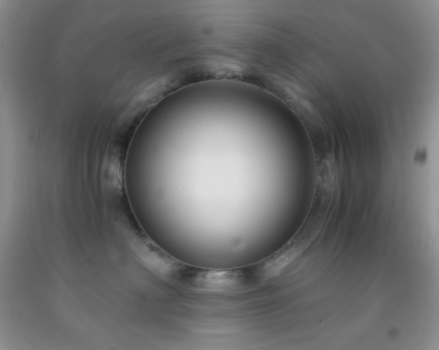 X0000092290622200709141301