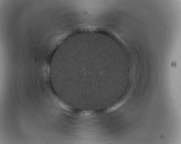 X0000092290624200709141301