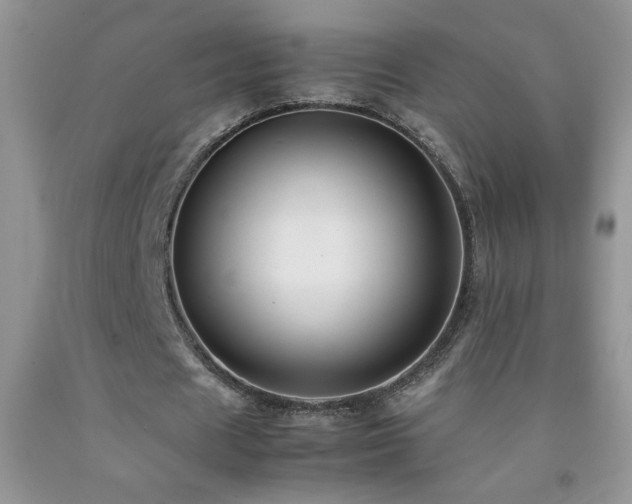 X0000092290625200709141300