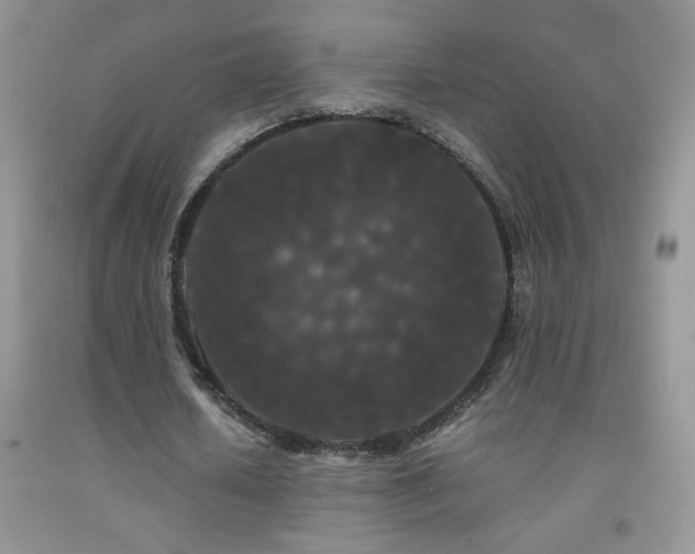 X0000092290626200709141300