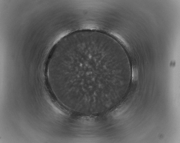 X0000092290627200709141300