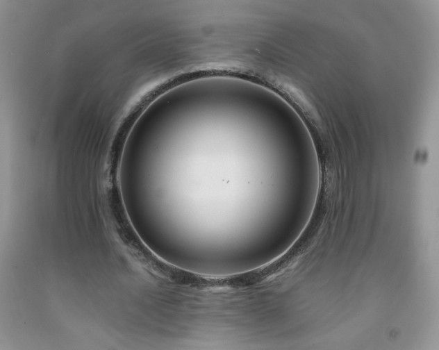 X0000092290628200709141300