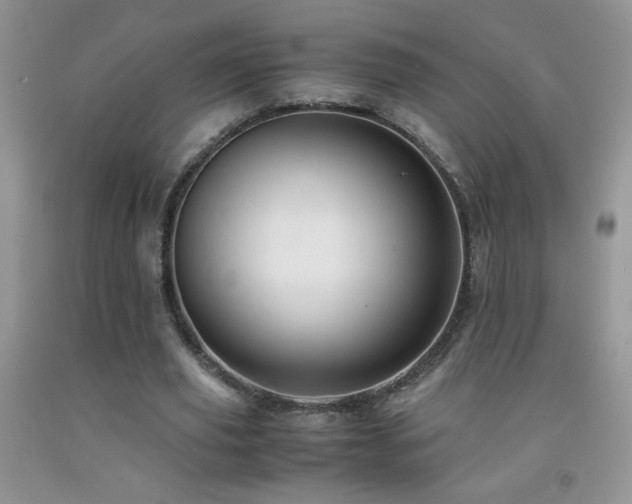 X0000092290629200709141300