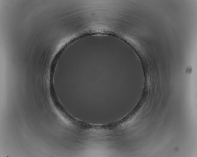 X0000092290630200709141300