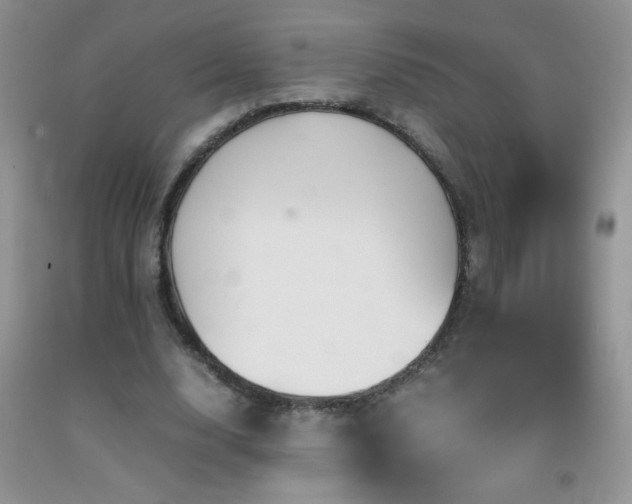 X0000092290632200709141300