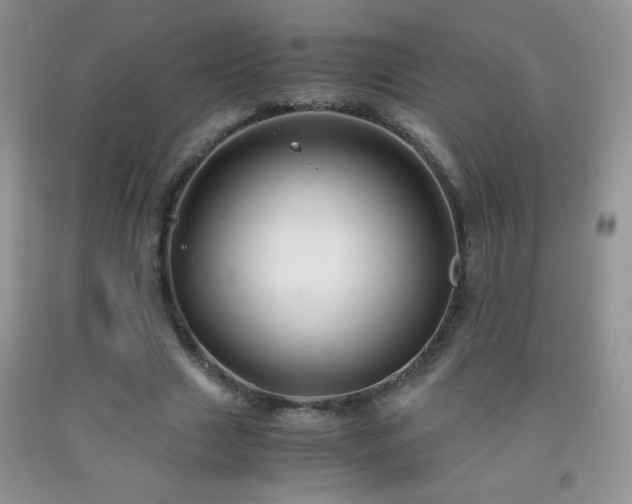 X0000092290633200709141300