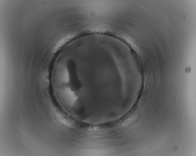 X0000092290634200709141300