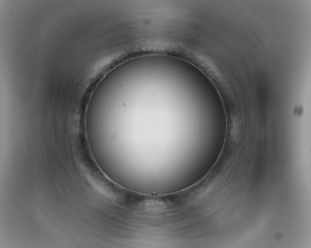 X0000092290636200709141300