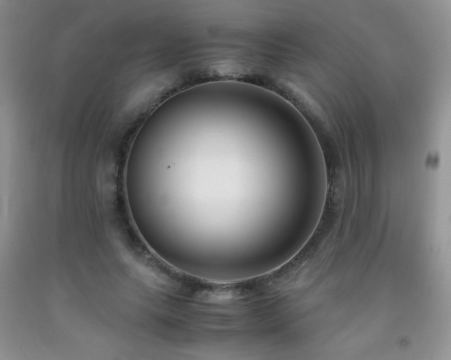 X0000092290639200709141300