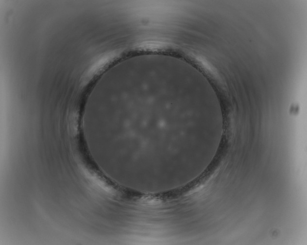 X0000092290640200709141300