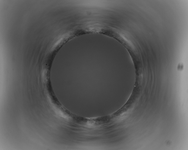 X0000092290641200709141300