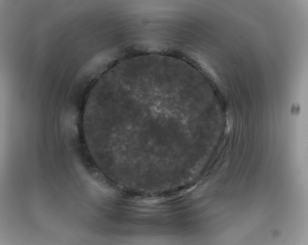 X0000092290643200709141300