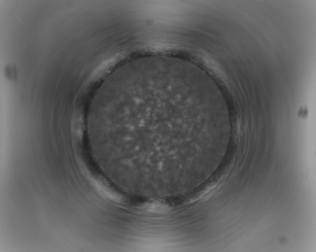 X0000092290644200709141300