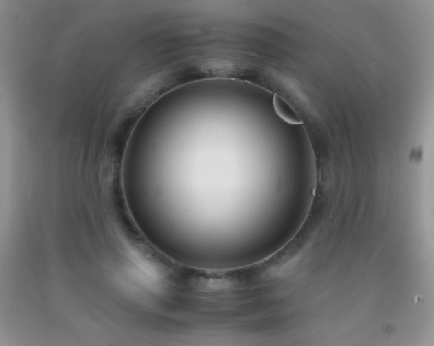 X0000092290645200709141300