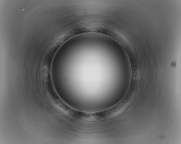 X0000092290646200709141300