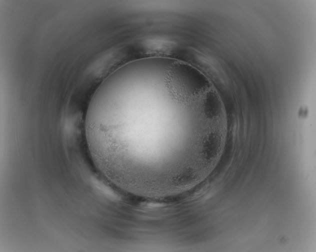 X0000092290649200709141300