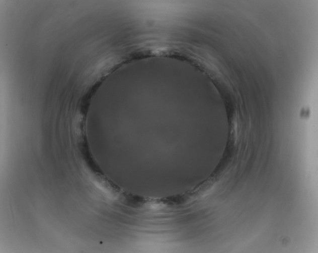 X0000092290650200709141300