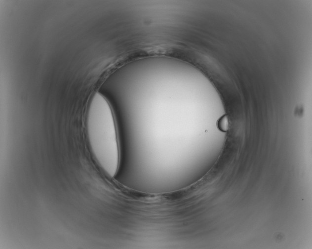 X0000092290652200709141300