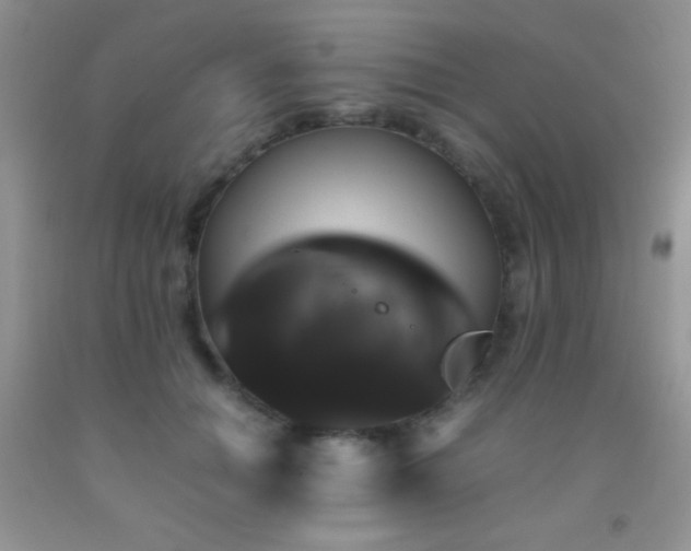 X0000092290654200709141300