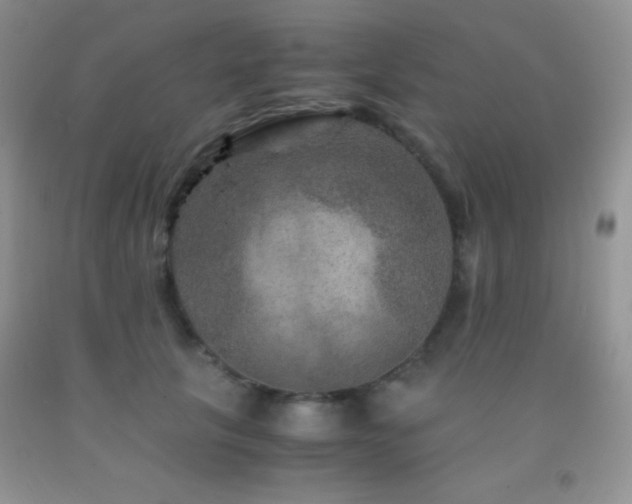 X0000092290657200709141300