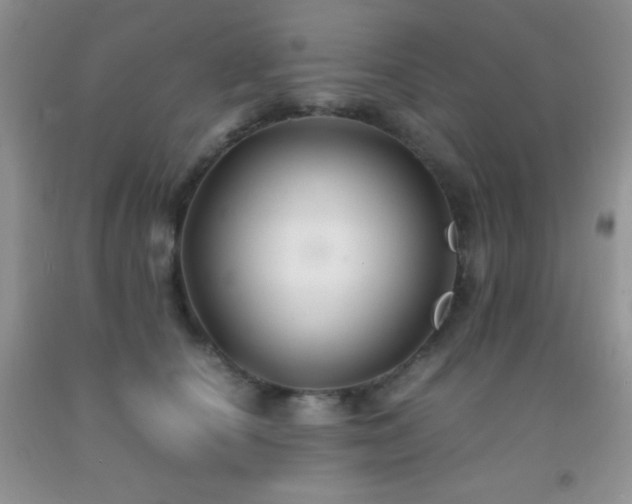 X0000092290660200709141300