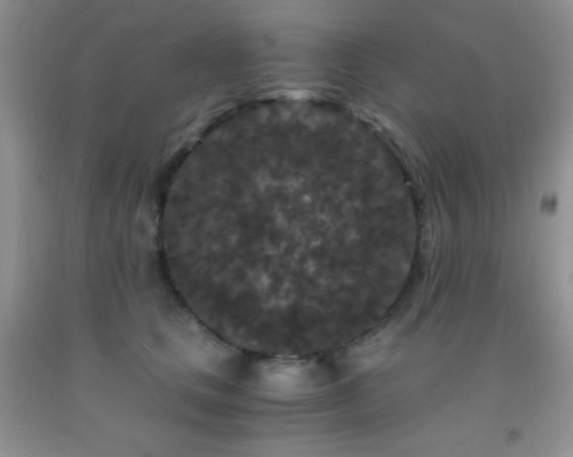 X0000092290661200709141300