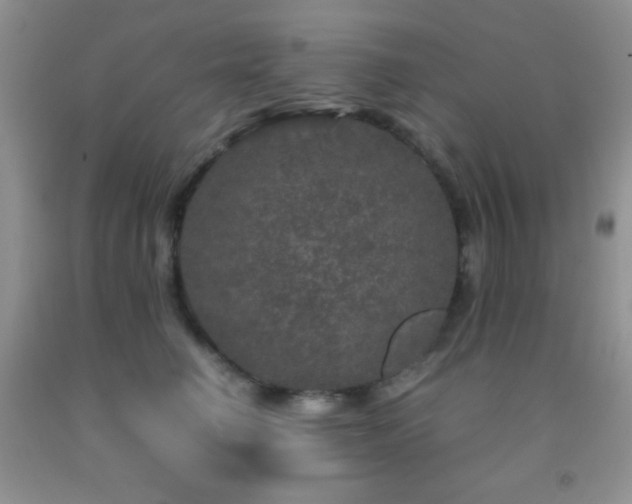 X0000092290662200709141300