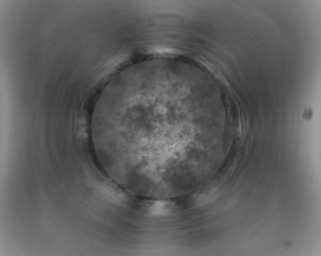 X0000092290663200709141300