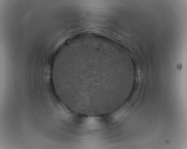 X0000092290664200709141300