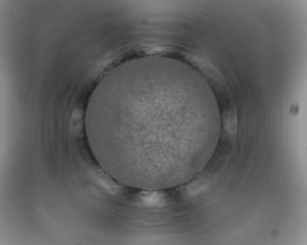 X0000092290667200709141300