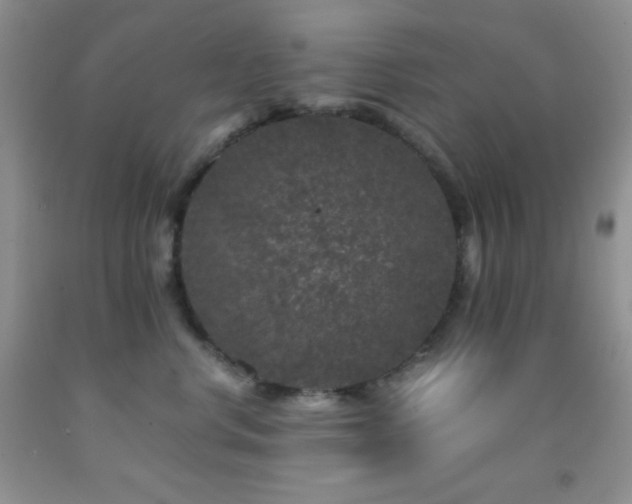 X0000092290668200709141300