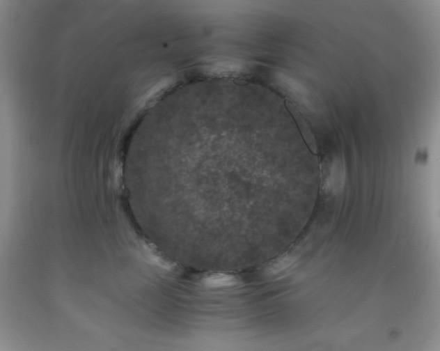 X0000092290669200709141300