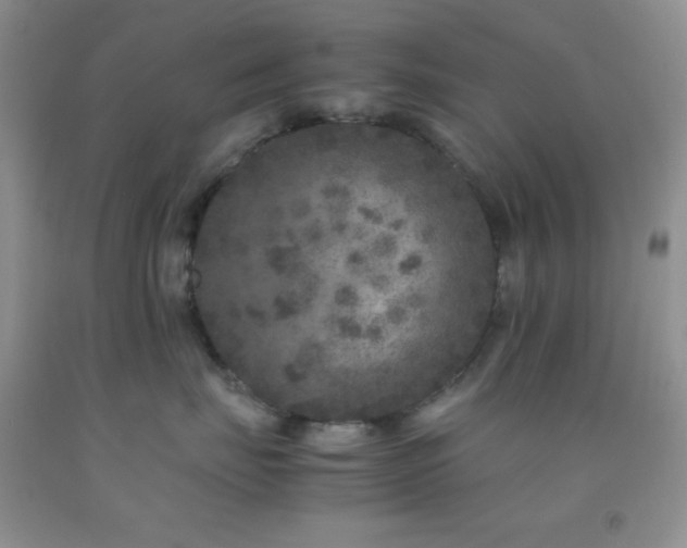 X0000092290671200709141301