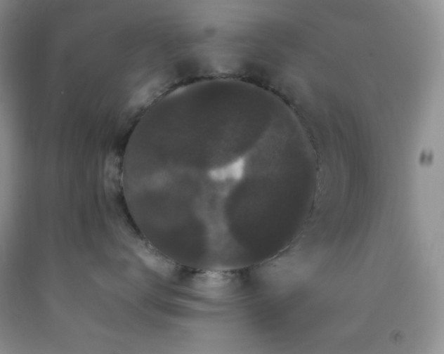 X0000092290672200709141301