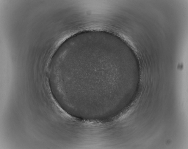 X0000092290673200709141300